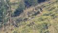 Refuge du Mont-Joly